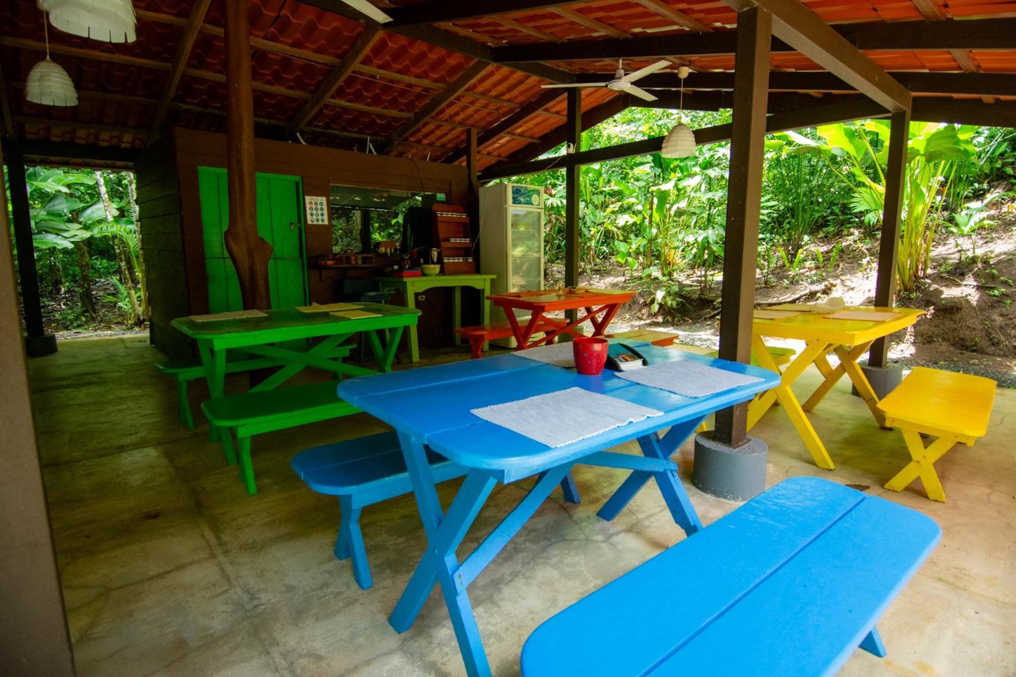 Selva Color - Forest & Beach Ecolodge Quebrada Ganado 외부 사진