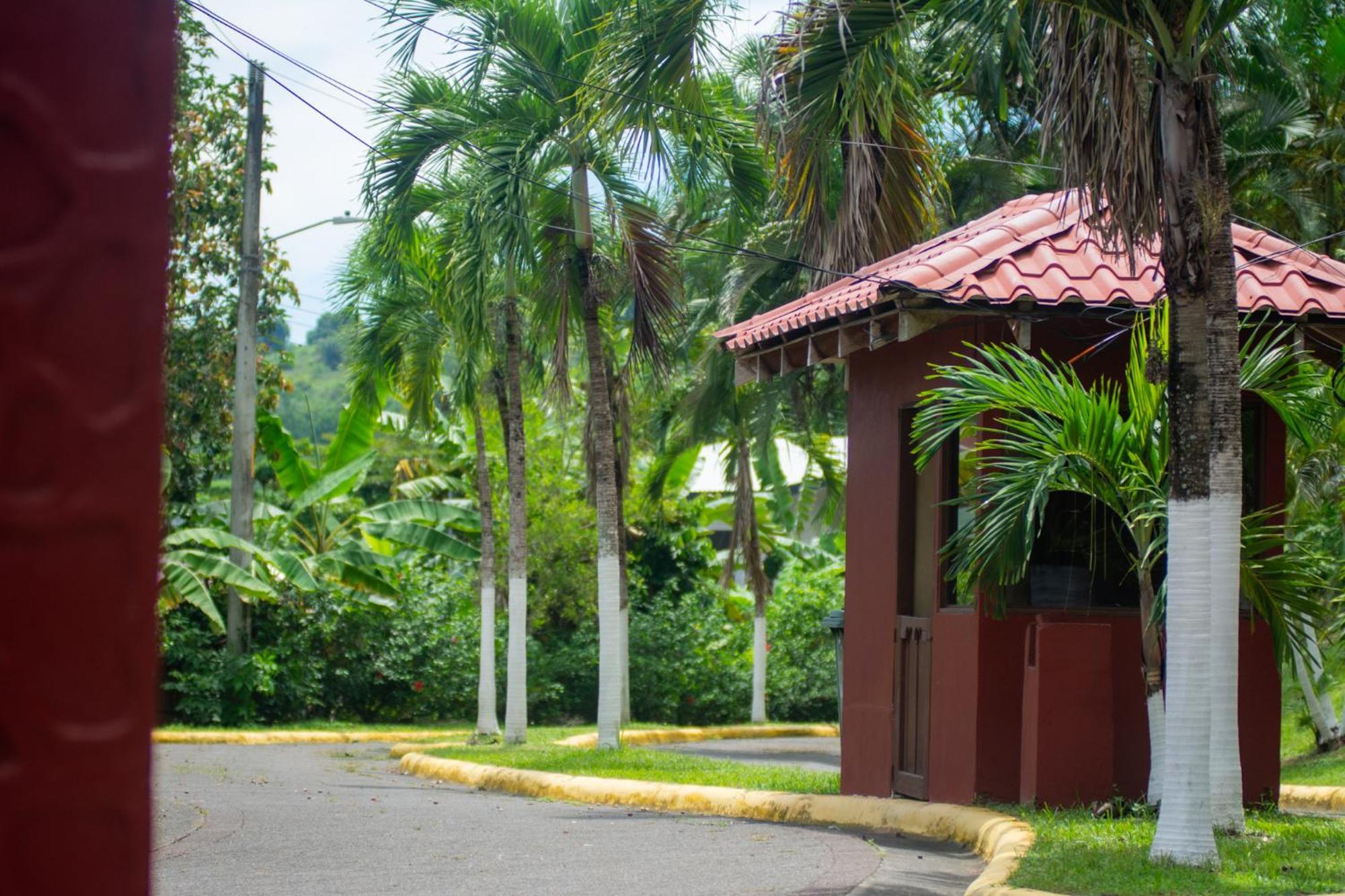Selva Color - Forest & Beach Ecolodge Quebrada Ganado 외부 사진