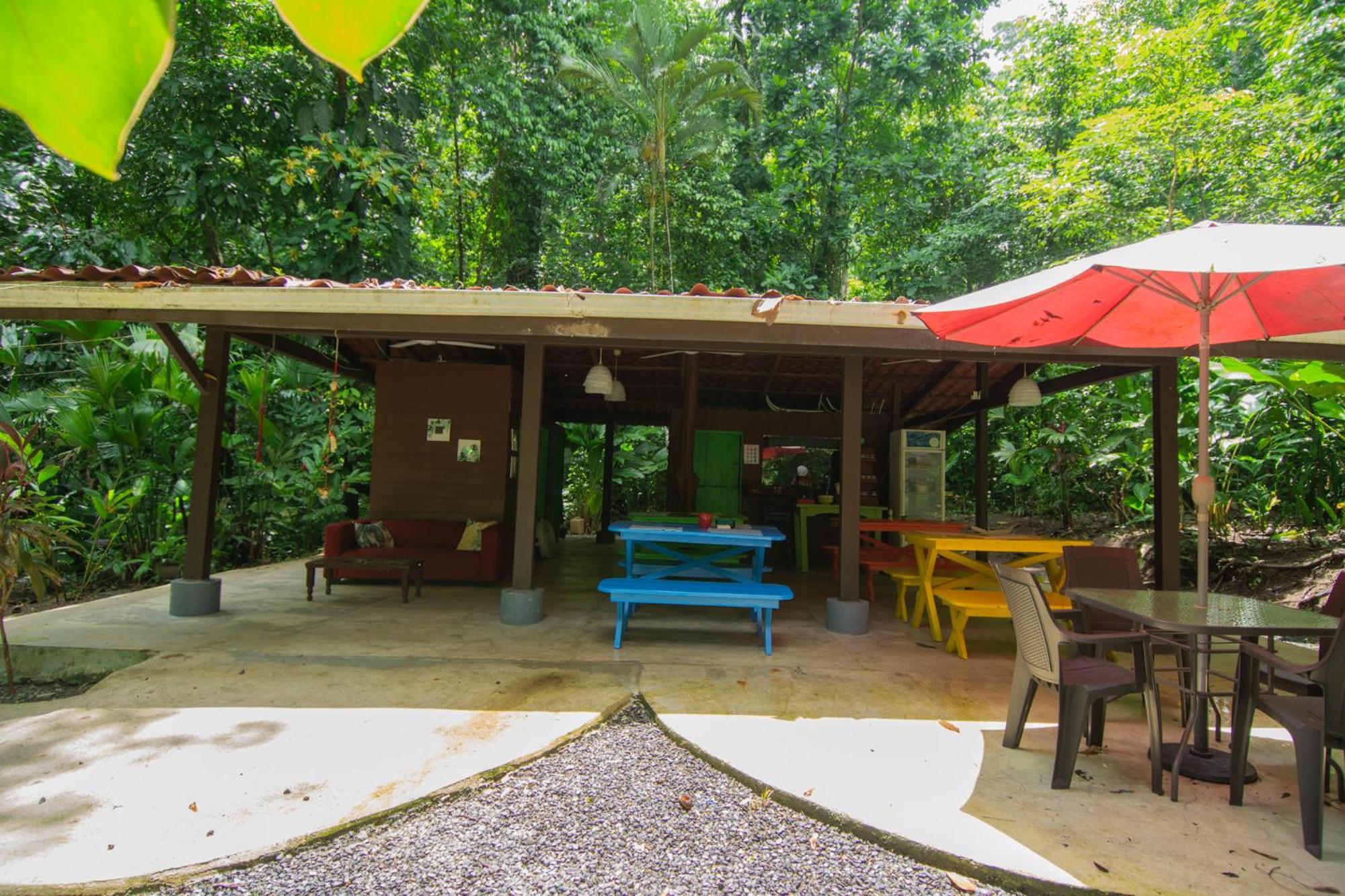 Selva Color - Forest & Beach Ecolodge Quebrada Ganado 외부 사진