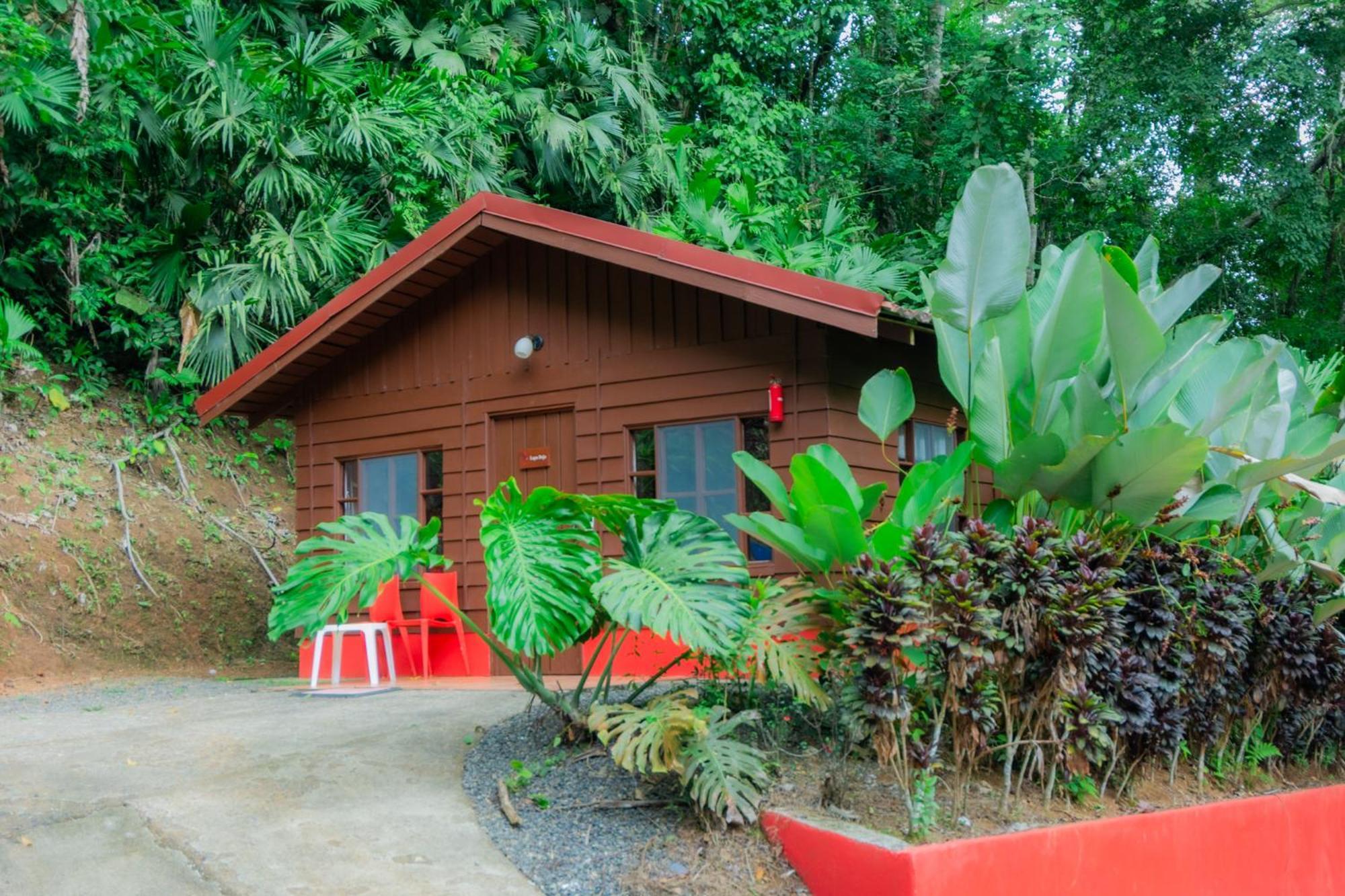 Selva Color - Forest & Beach Ecolodge Quebrada Ganado 외부 사진