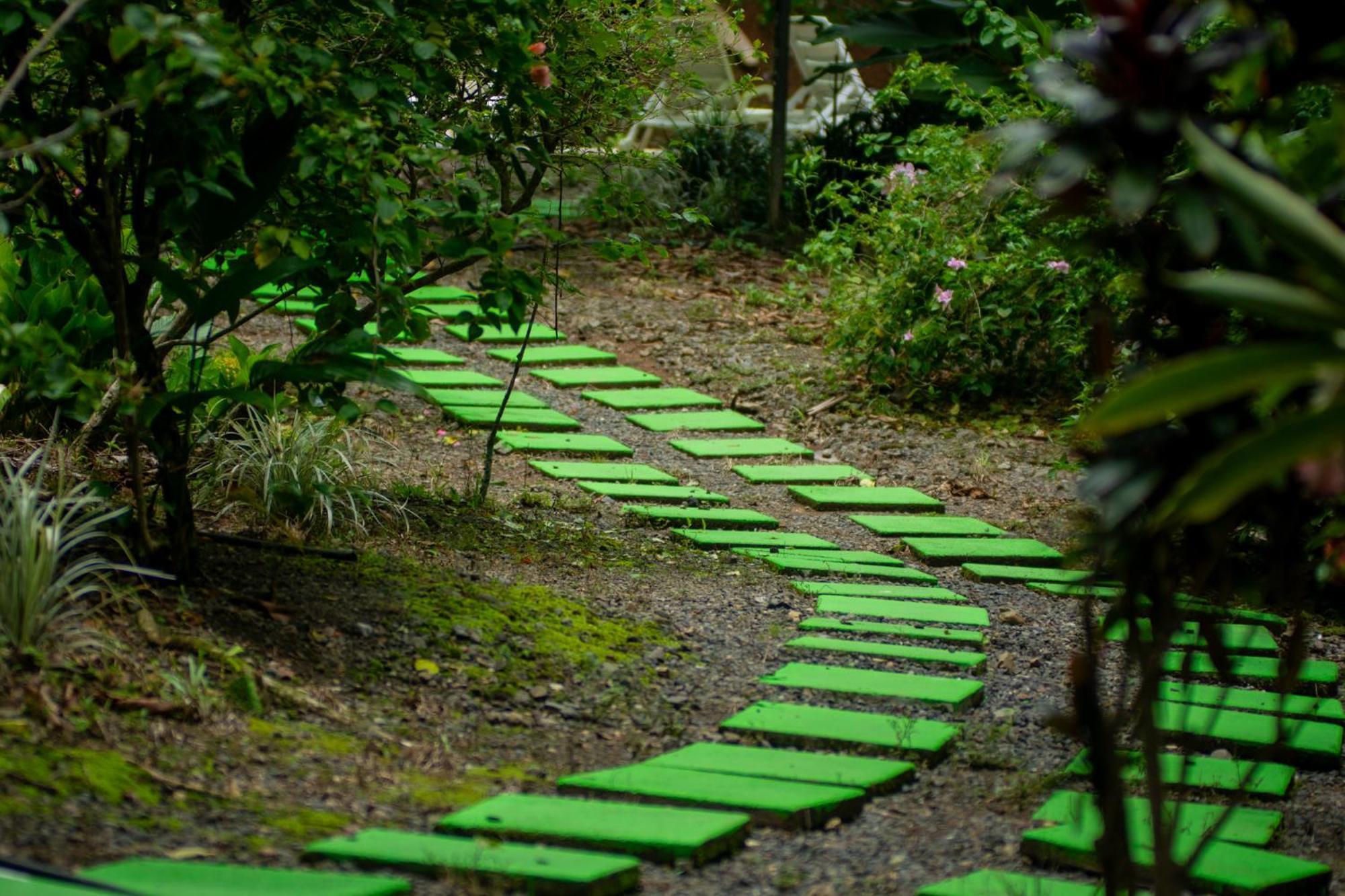 Selva Color - Forest & Beach Ecolodge Quebrada Ganado 외부 사진