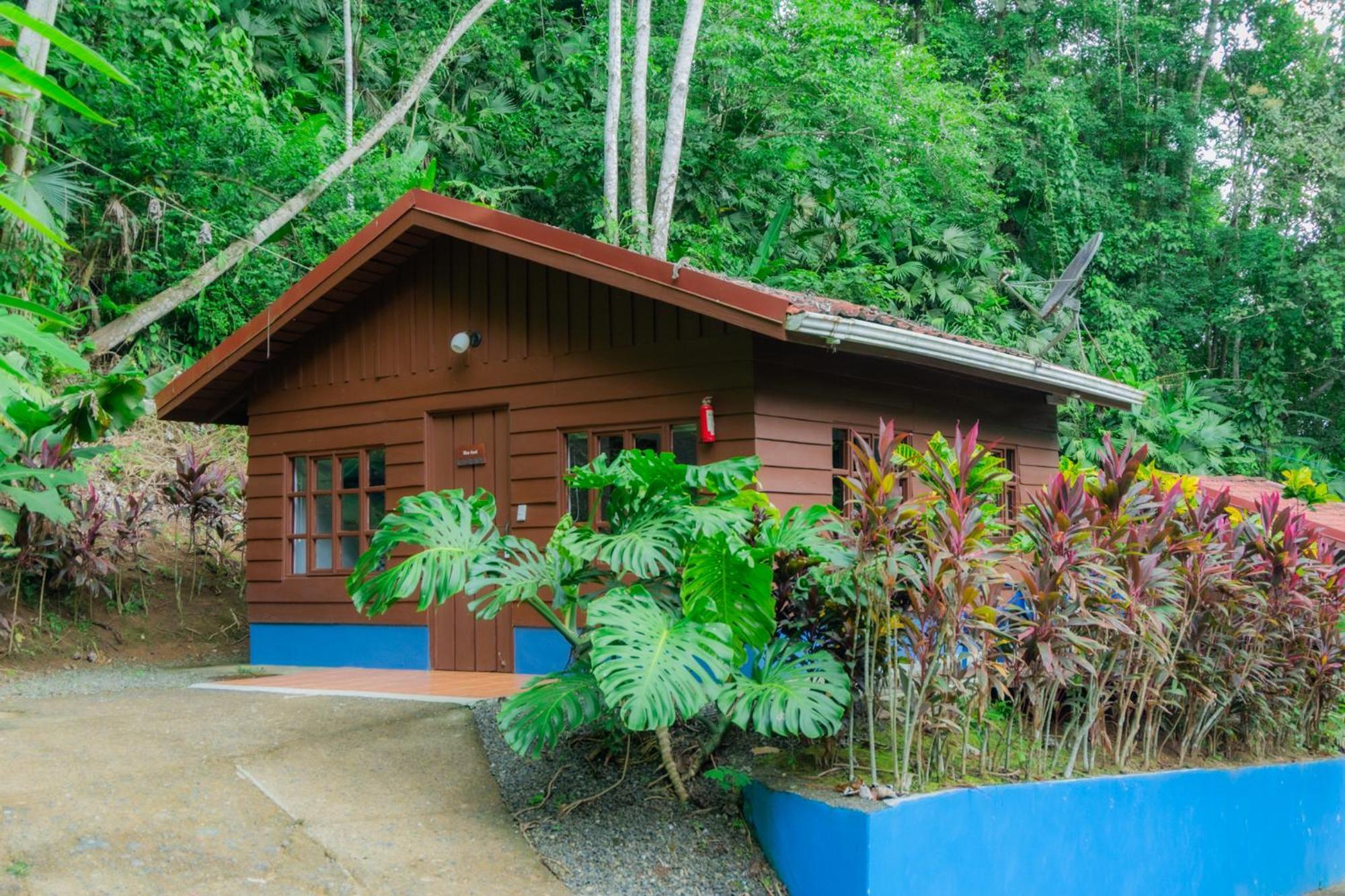 Selva Color - Forest & Beach Ecolodge Quebrada Ganado 외부 사진