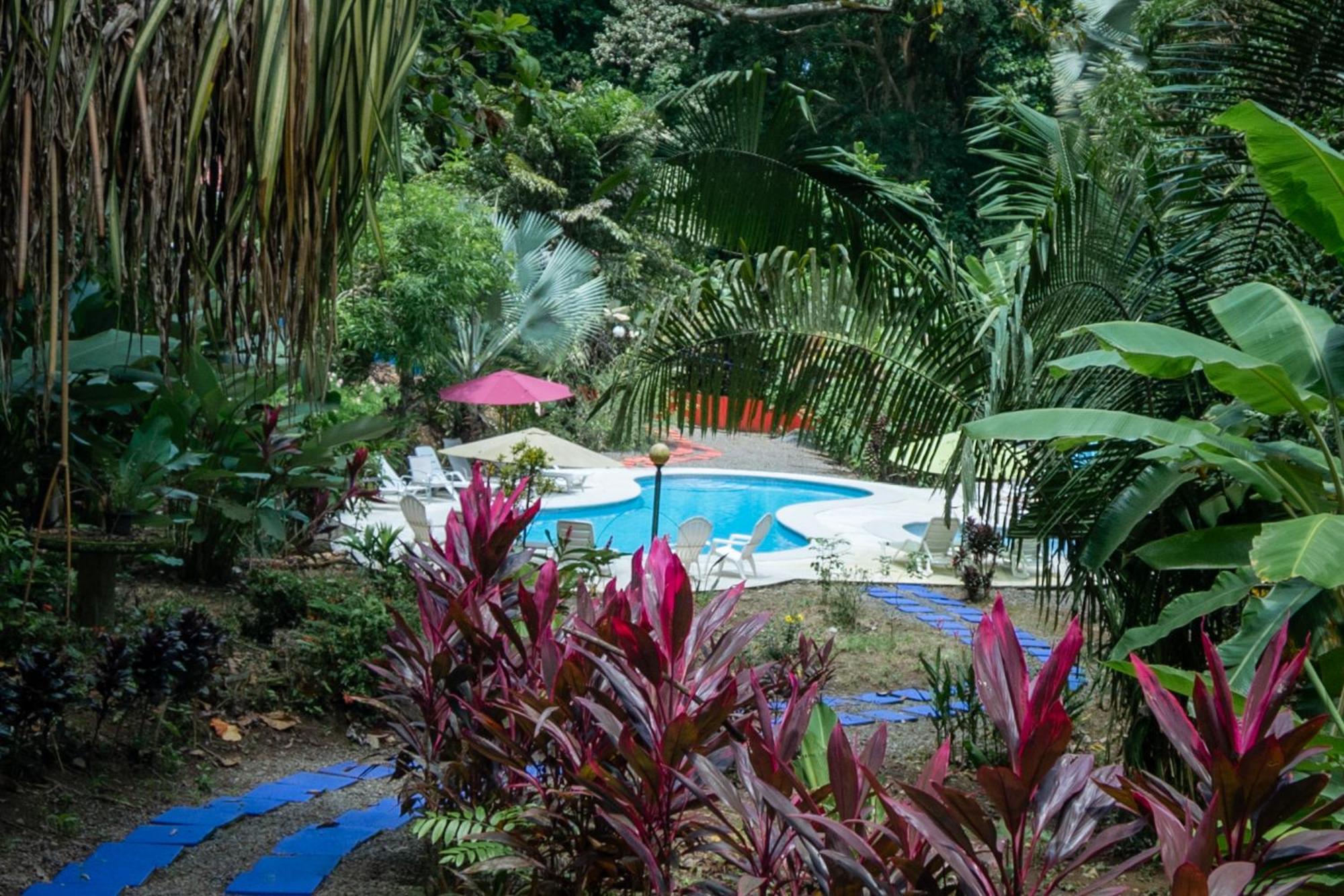 Selva Color - Forest & Beach Ecolodge Quebrada Ganado 외부 사진