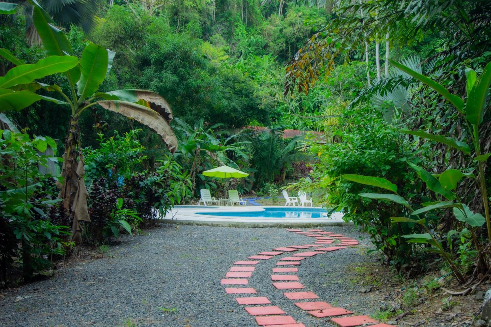 Selva Color - Forest & Beach Ecolodge Quebrada Ganado 외부 사진