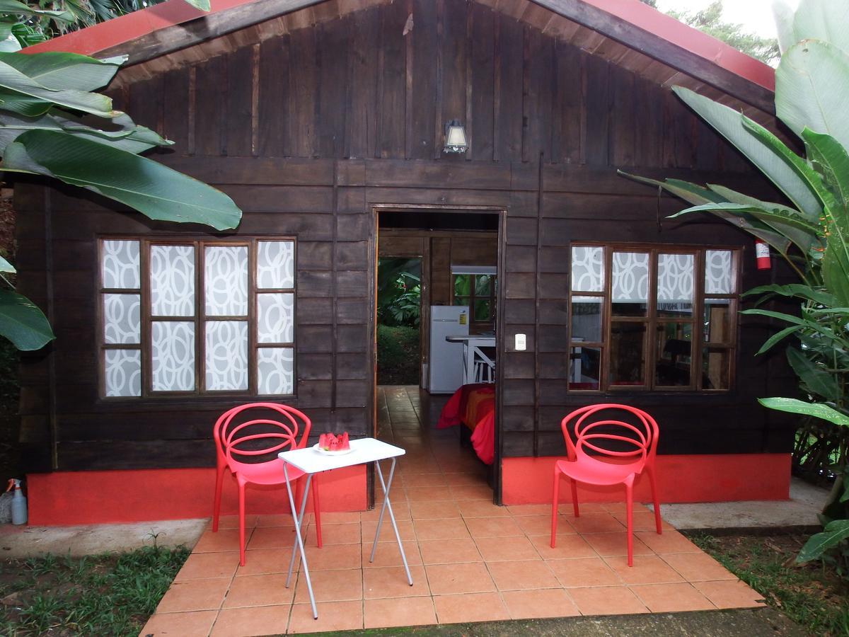 Selva Color - Forest & Beach Ecolodge Quebrada Ganado 외부 사진