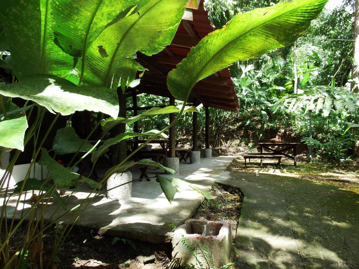 Selva Color - Forest & Beach Ecolodge Quebrada Ganado 외부 사진