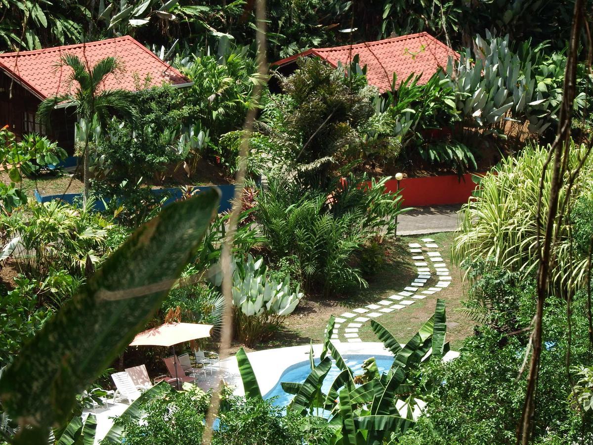 Selva Color - Forest & Beach Ecolodge Quebrada Ganado 외부 사진