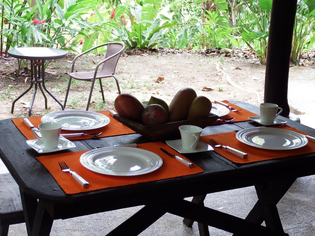 Selva Color - Forest & Beach Ecolodge Quebrada Ganado 외부 사진