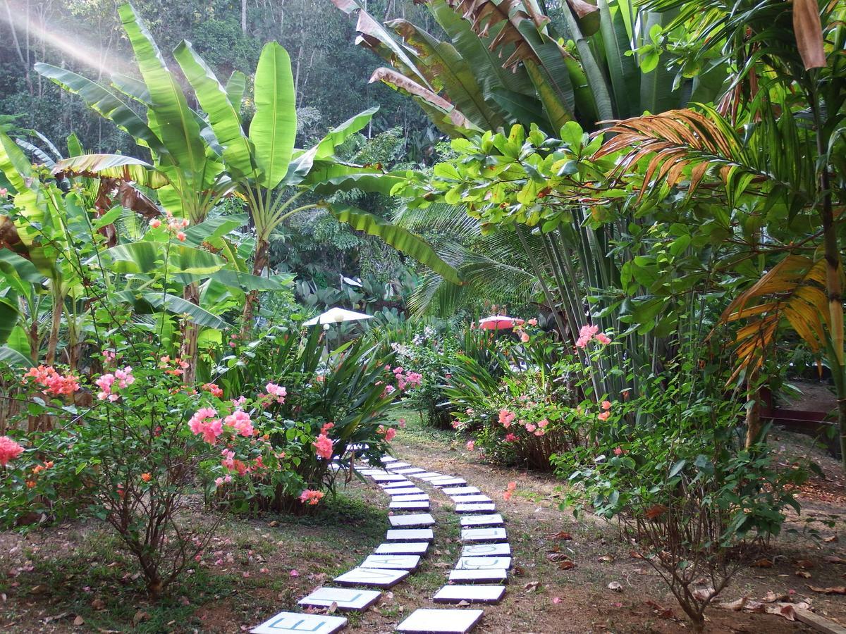 Selva Color - Forest & Beach Ecolodge Quebrada Ganado 외부 사진