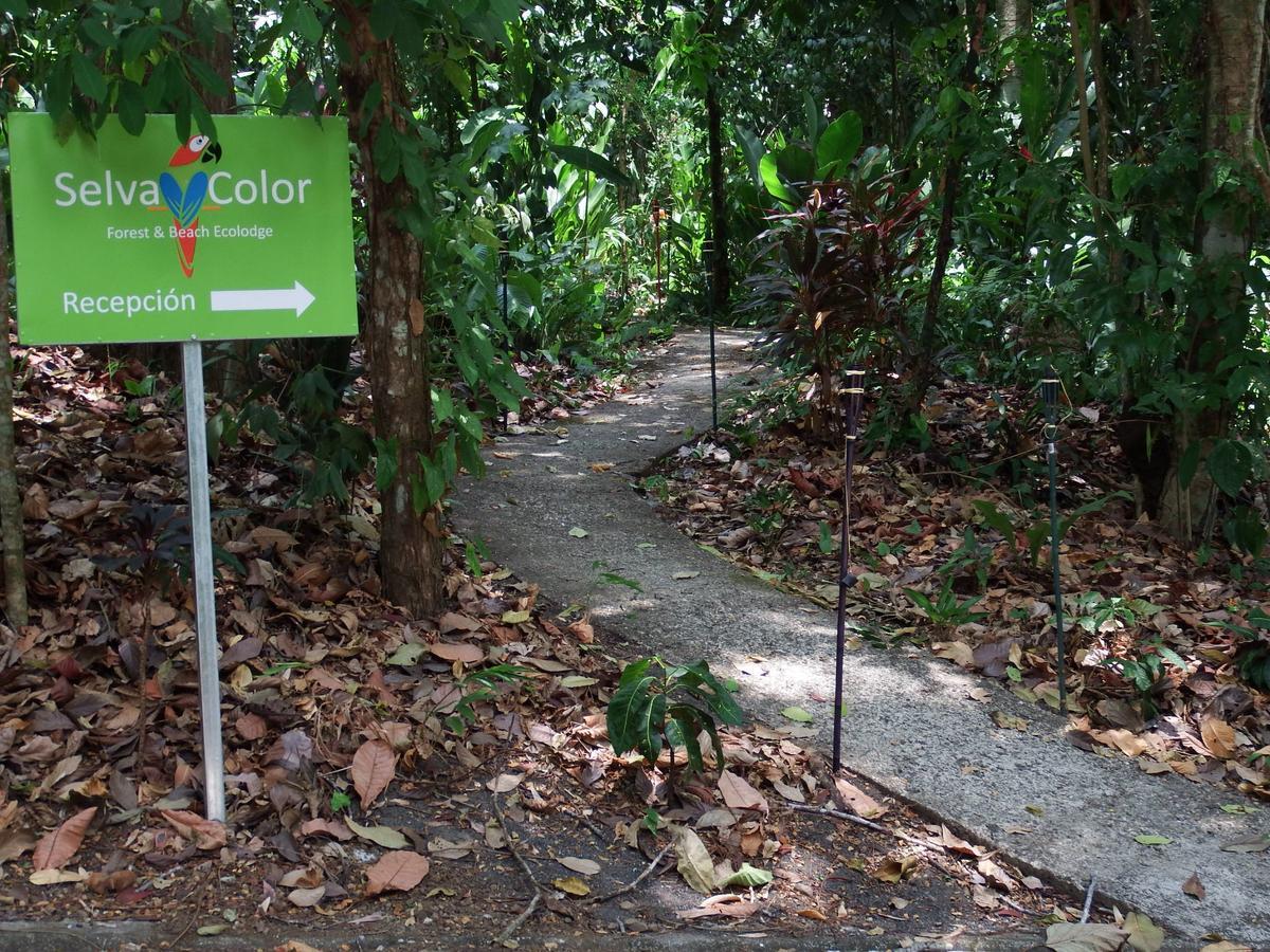 Selva Color - Forest & Beach Ecolodge Quebrada Ganado 외부 사진