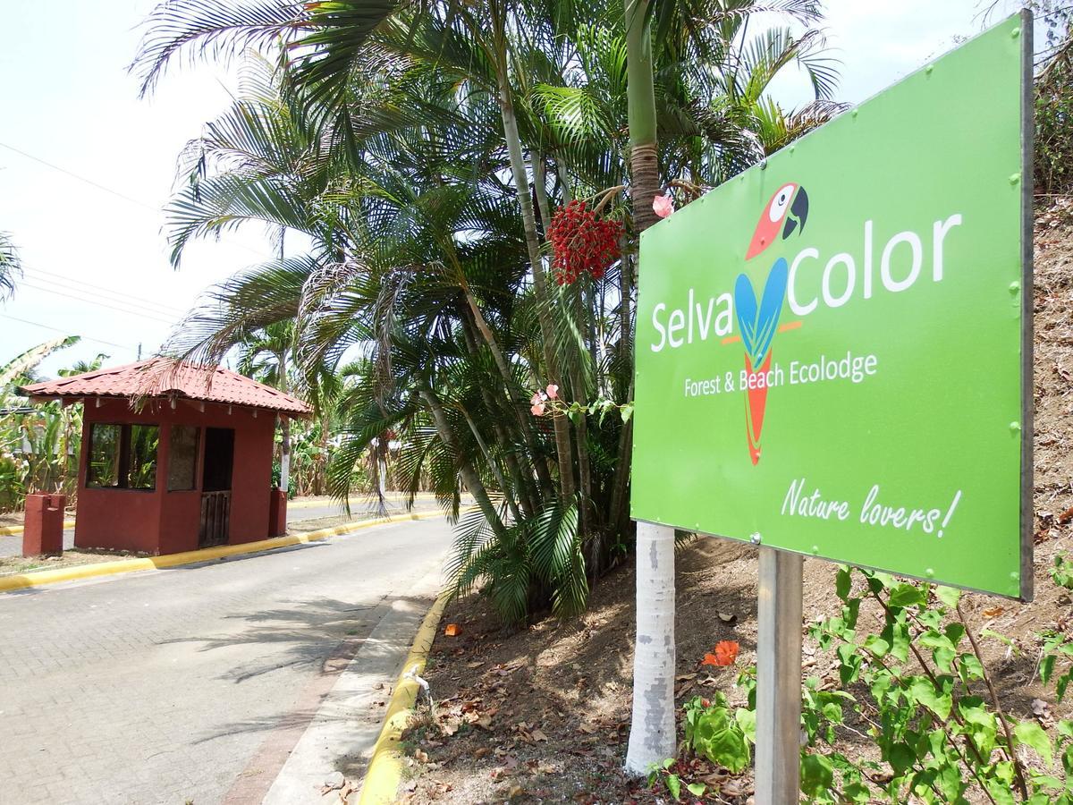 Selva Color - Forest & Beach Ecolodge Quebrada Ganado 외부 사진