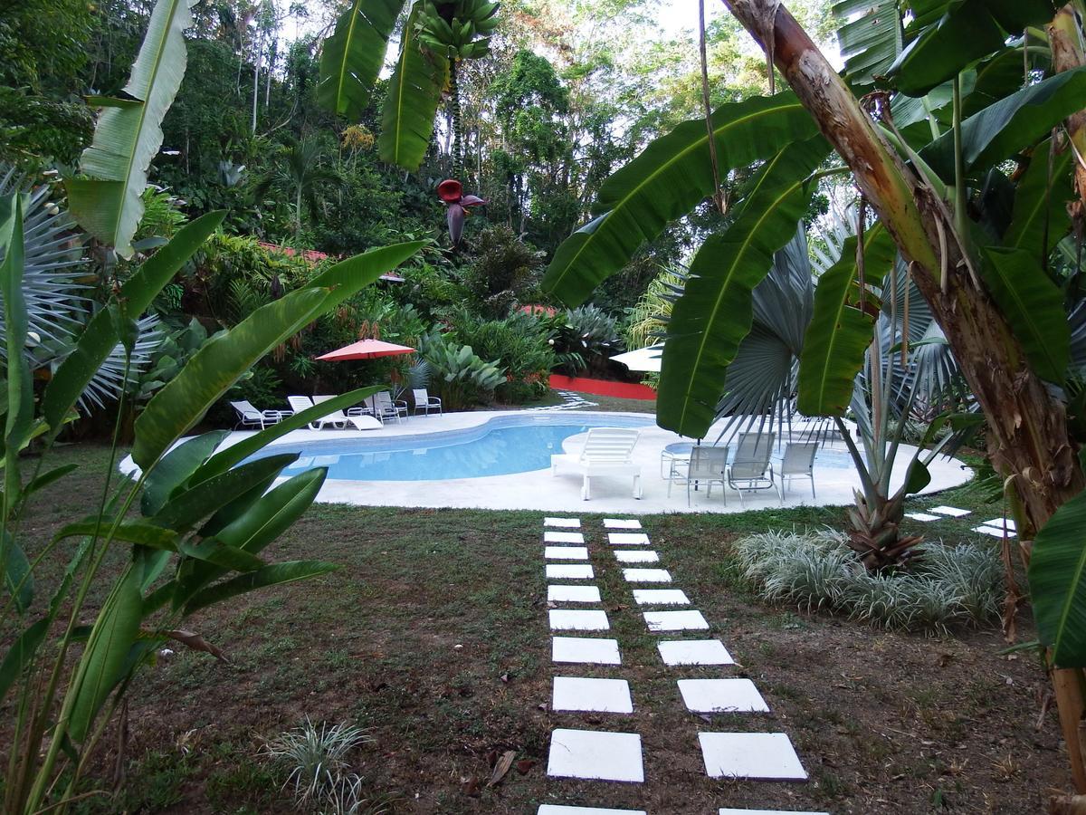 Selva Color - Forest & Beach Ecolodge Quebrada Ganado 외부 사진