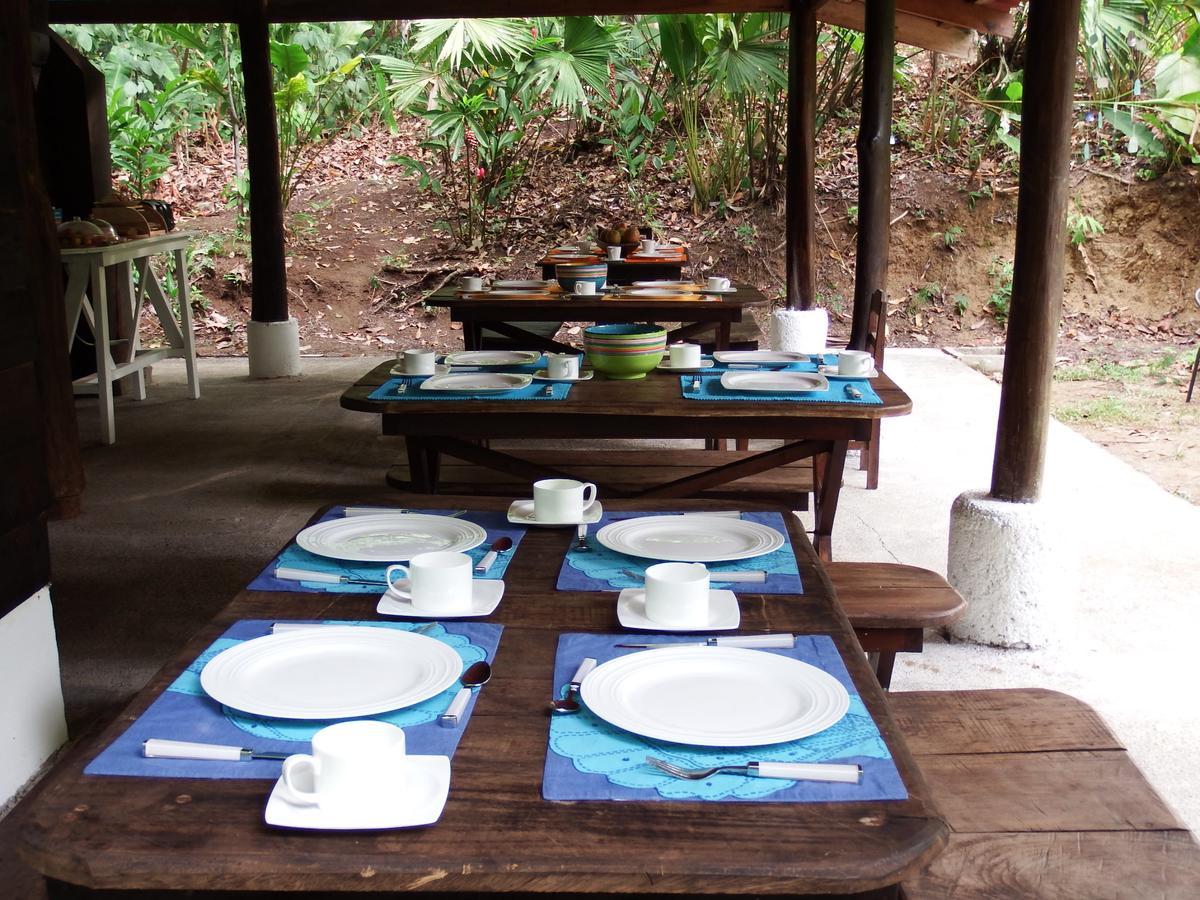 Selva Color - Forest & Beach Ecolodge Quebrada Ganado 외부 사진